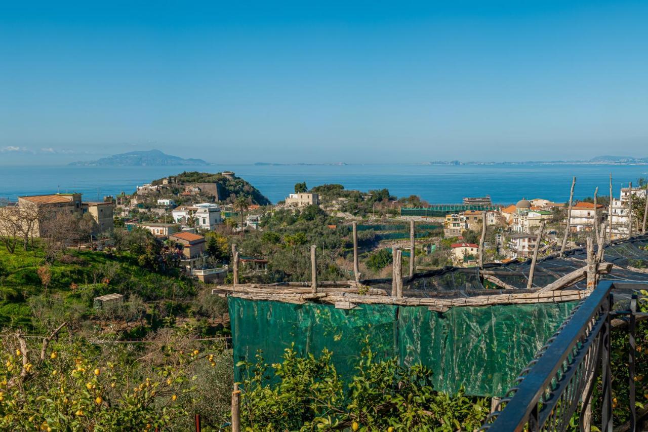 Il Viale Appartement Massa Lubrense Buitenkant foto