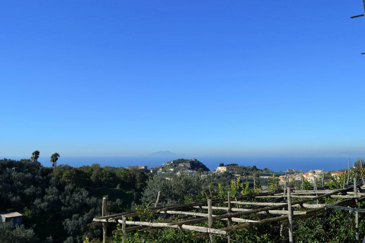Il Viale Appartement Massa Lubrense Buitenkant foto