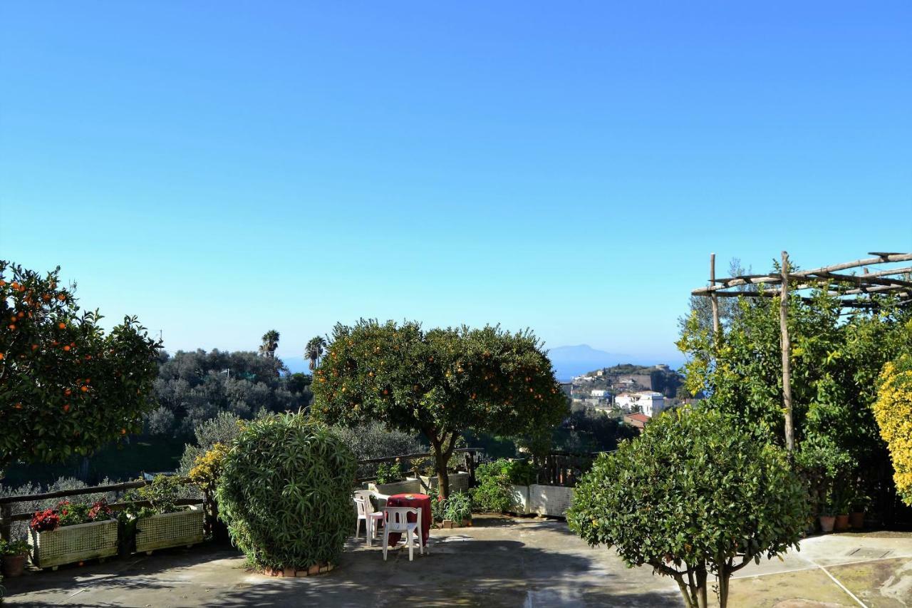 Il Viale Appartement Massa Lubrense Buitenkant foto