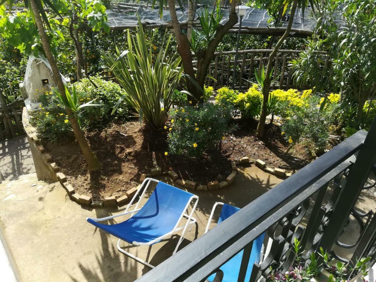 Il Viale Appartement Massa Lubrense Buitenkant foto