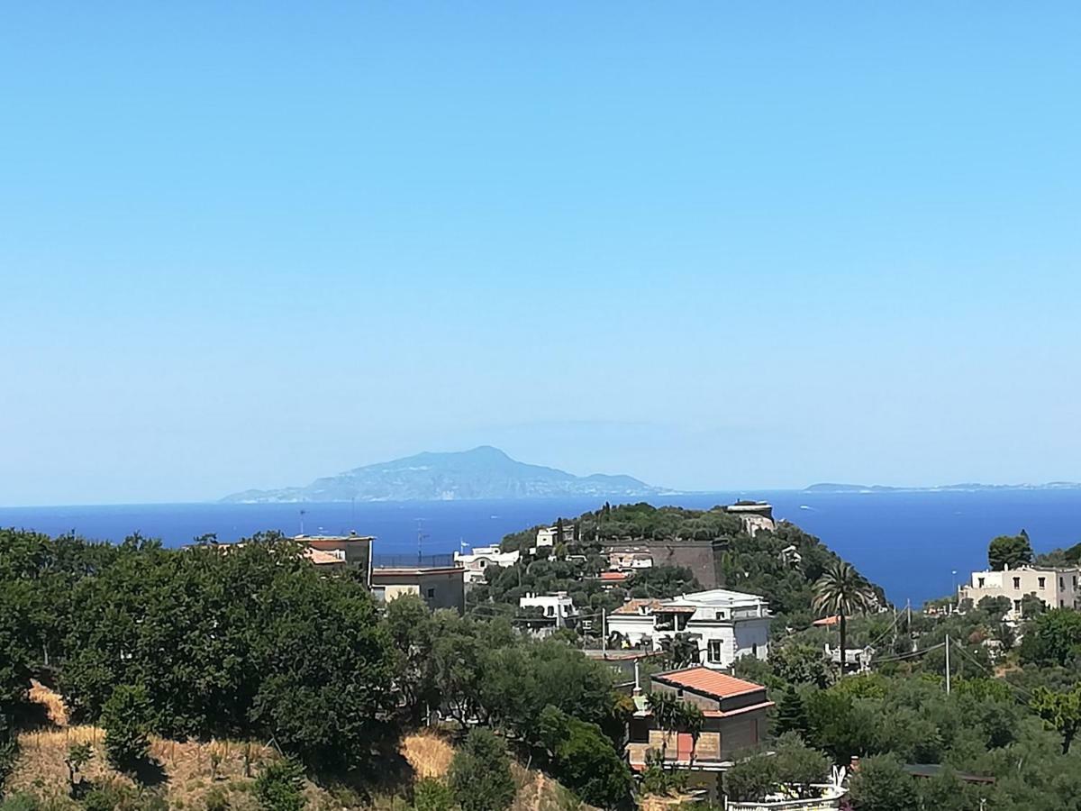 Il Viale Appartement Massa Lubrense Buitenkant foto